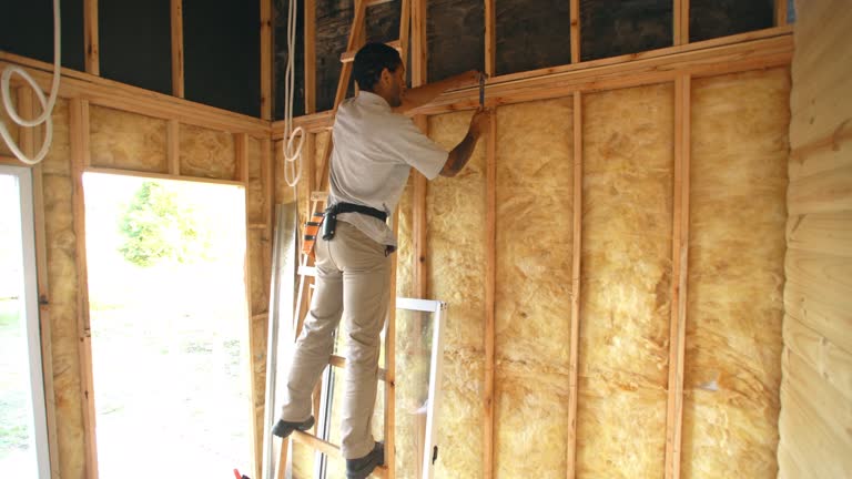 Types of Insulation We Offer in Napili Honokowai, HI